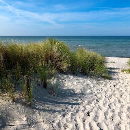 Haus Suedwester Hummer Insel Poel Exteriér fotografie