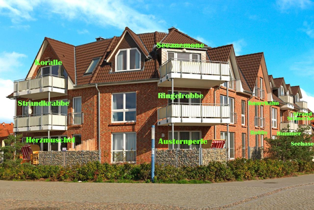 Haus Suedwester Hummer Insel Poel Exteriér fotografie