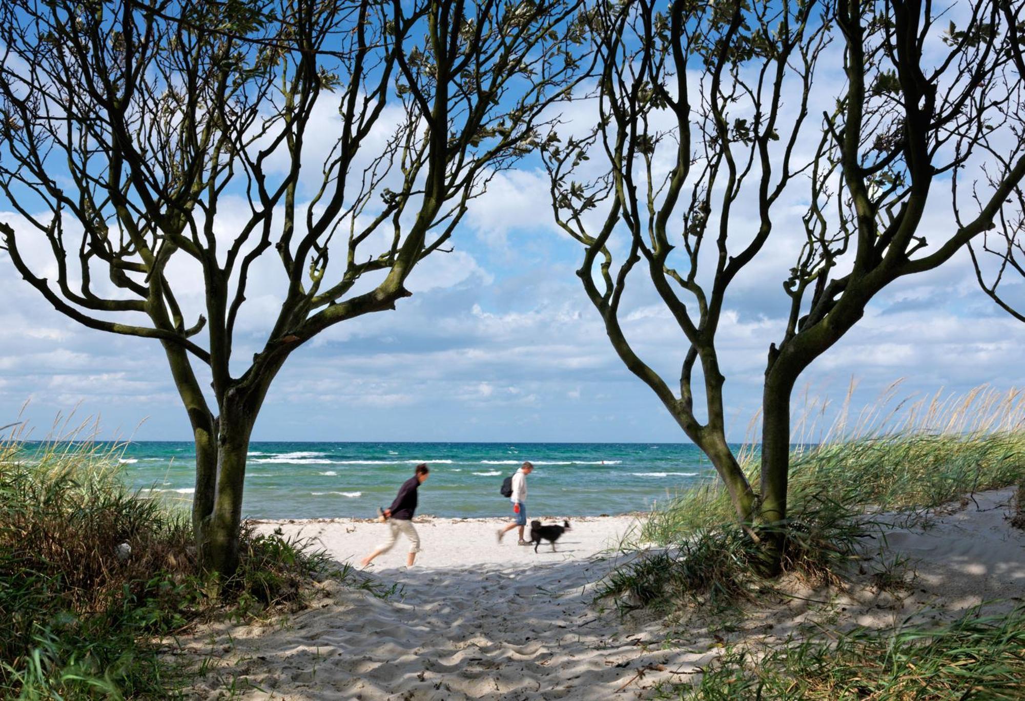 Haus Suedwester Hummer Insel Poel Exteriér fotografie