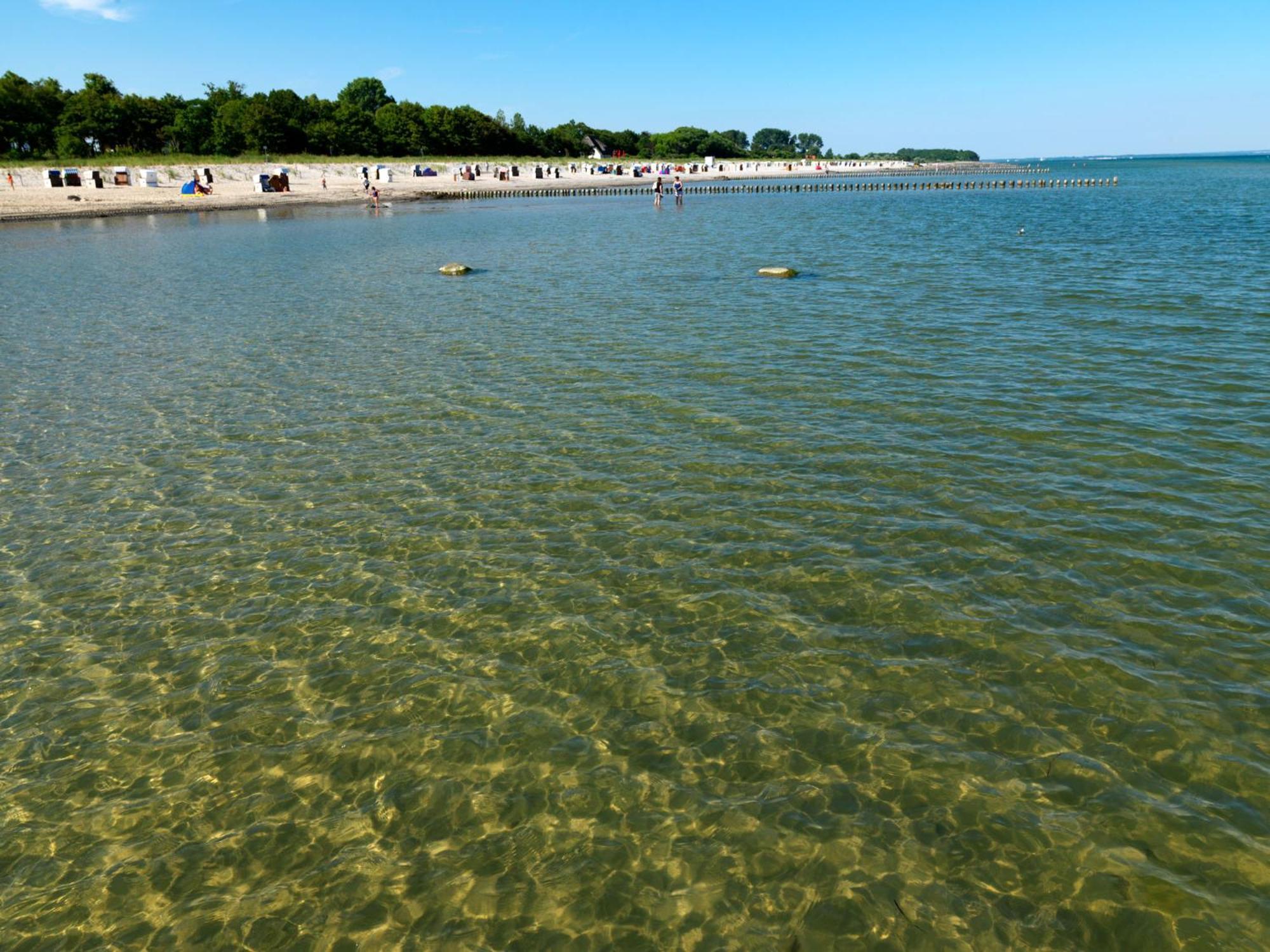 Haus Suedwester Hummer Insel Poel Exteriér fotografie