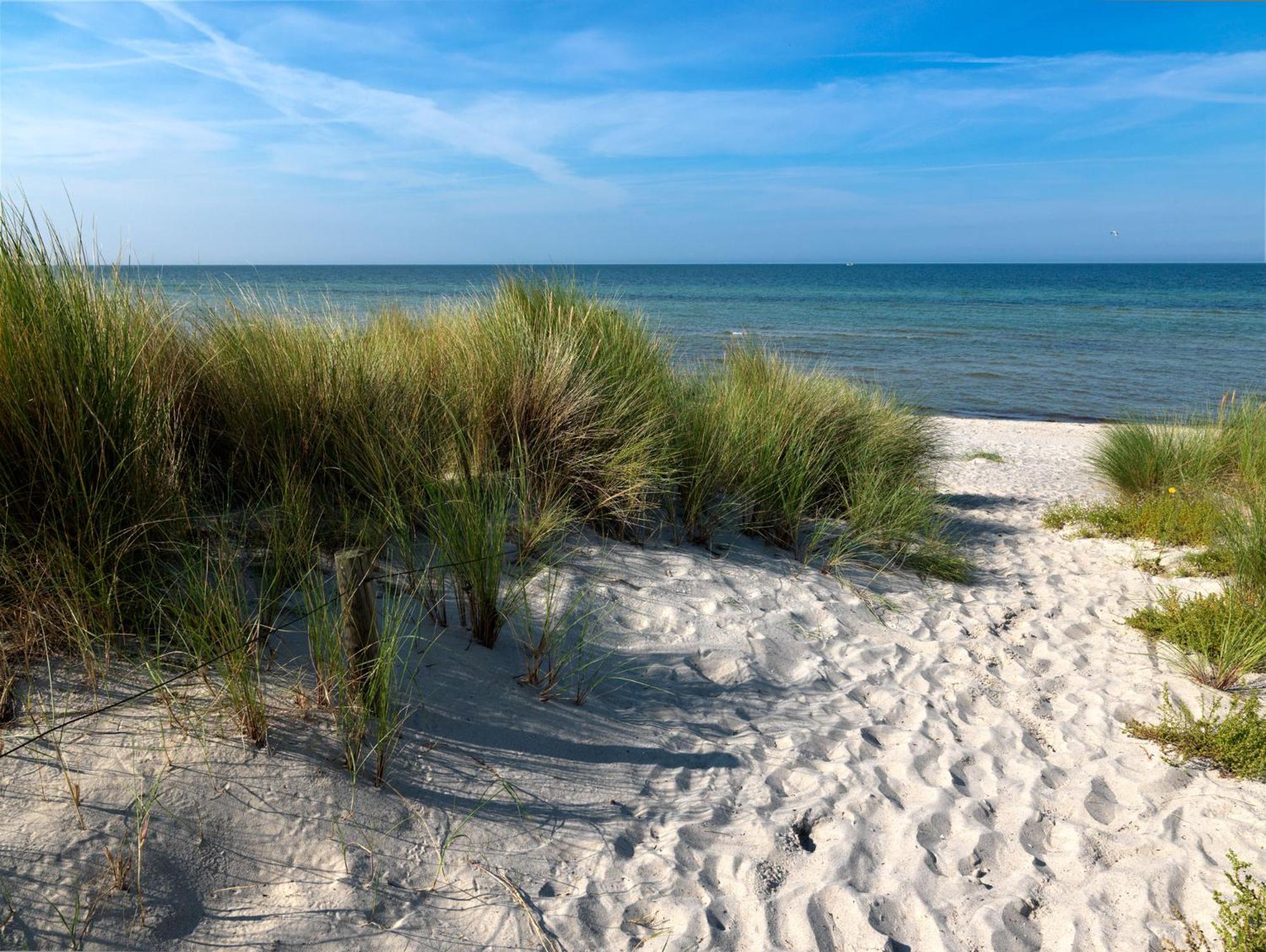 Haus Suedwester Hummer Insel Poel Exteriér fotografie