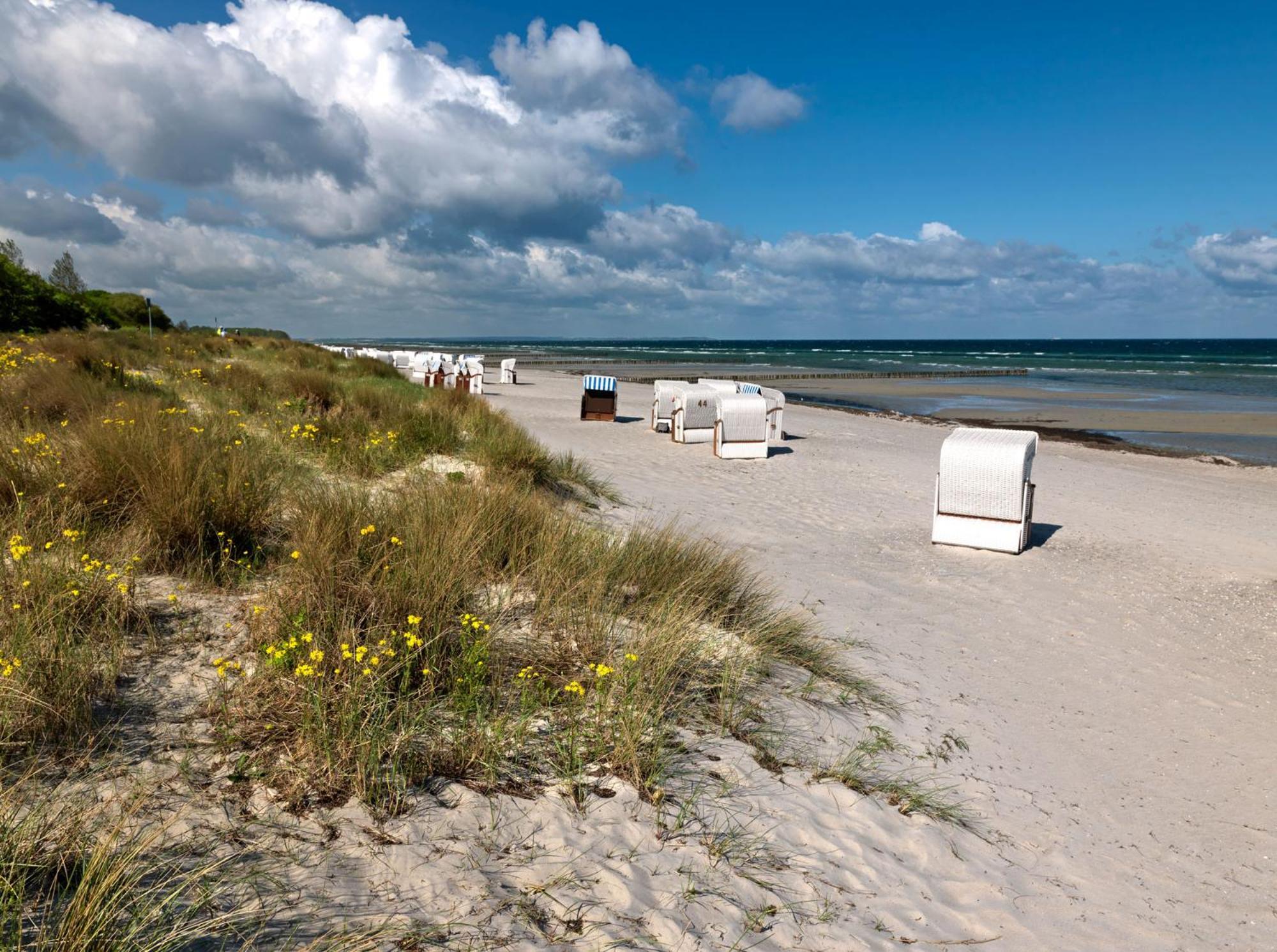 Haus Suedwester Hummer Insel Poel Exteriér fotografie